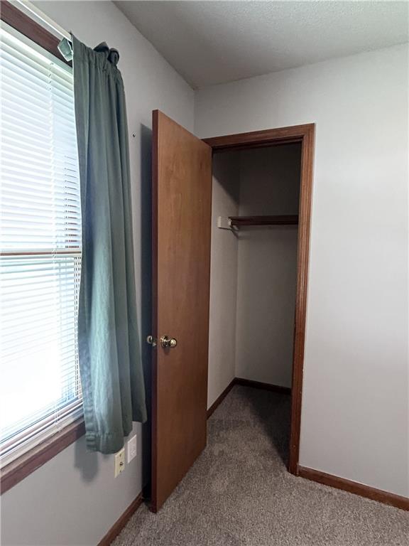 227 E Colleen Drive Property Photo 10