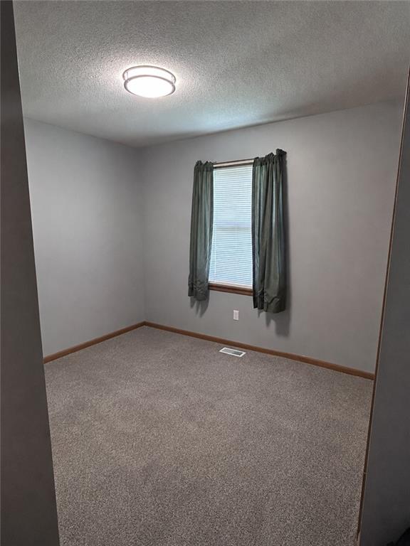 227 E Colleen Drive Property Photo 12