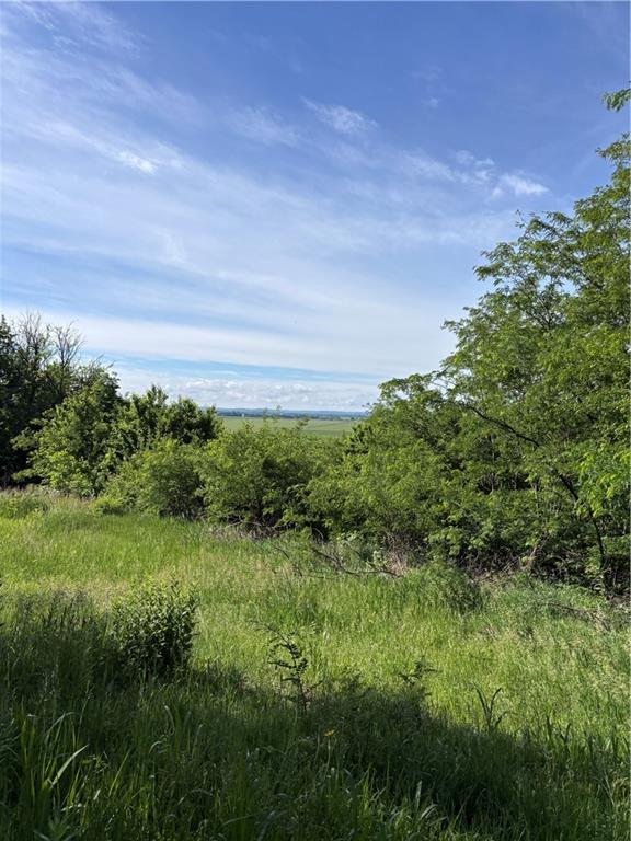 1420 Treece Road Property Photo 8