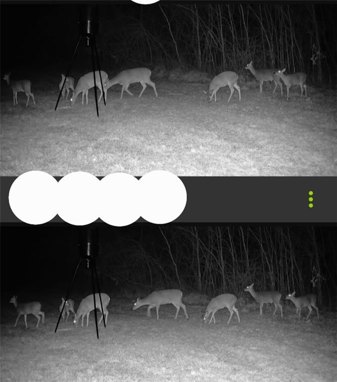 Chickadee Court Property Photo 16