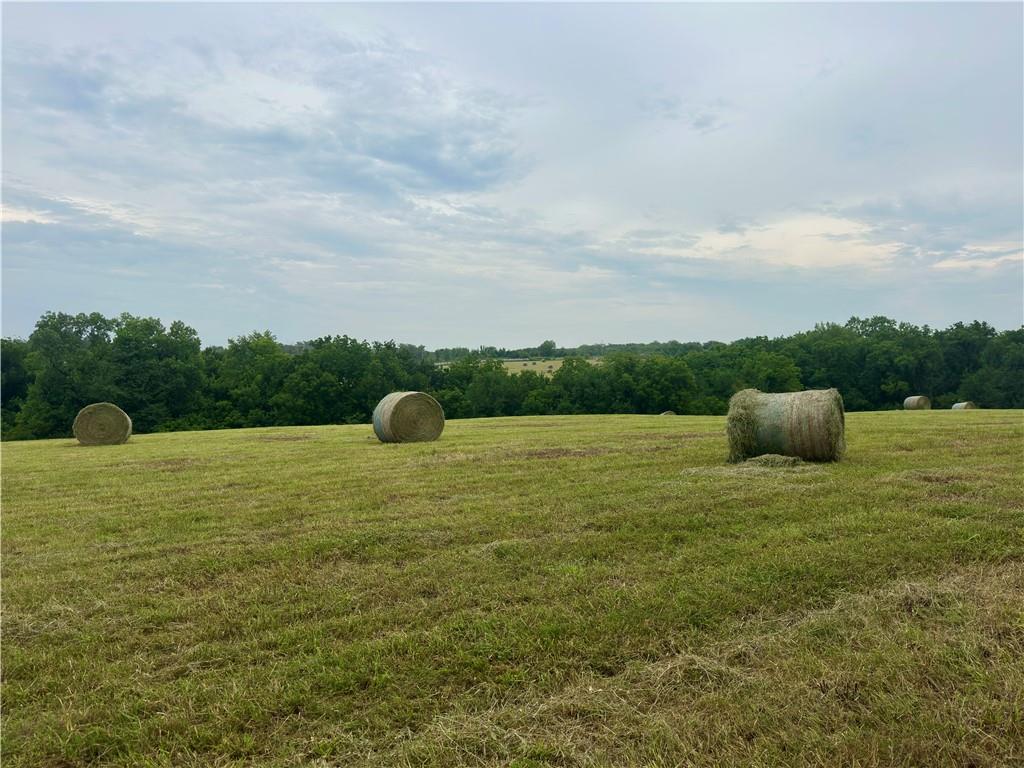 45101 E N Highway Property Photo 13