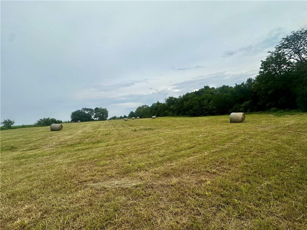 45101 E N Highway Property Photo 15