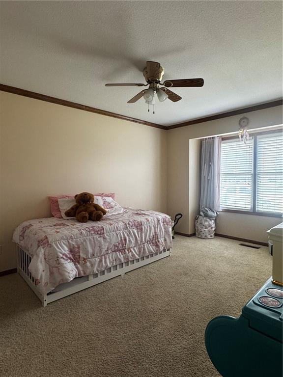 1206 Talon Drive Property Photo 13