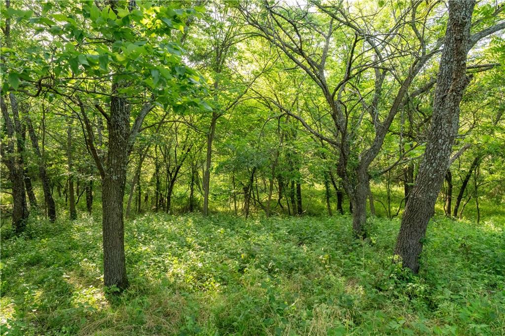 134 Haskell Road Property Photo 14