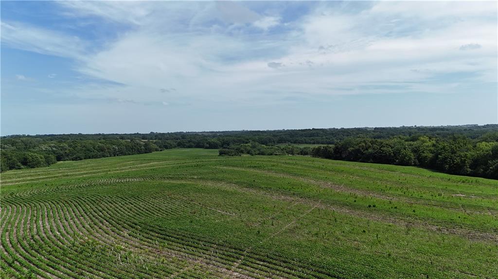 O Highway Property Photo 16