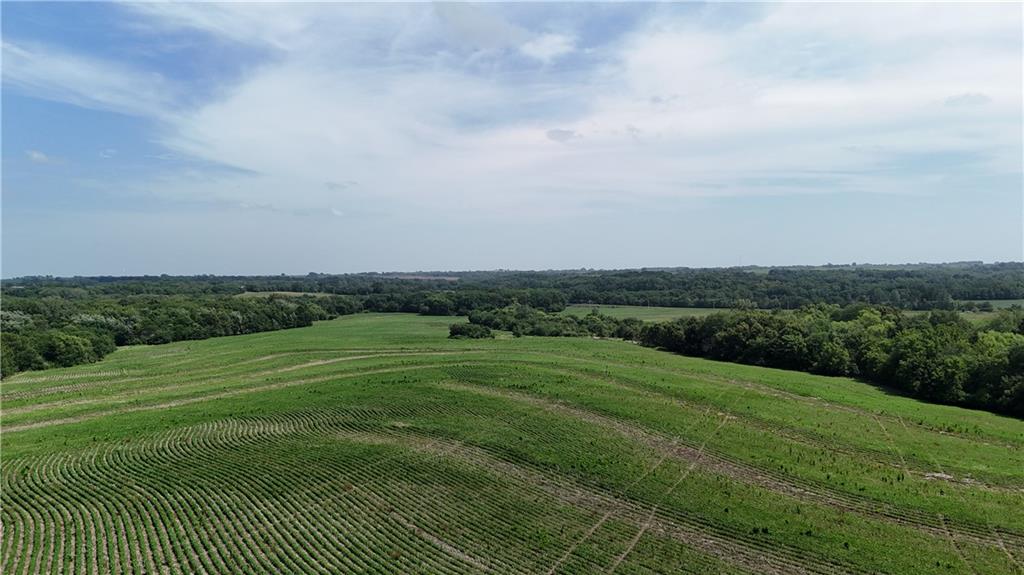O Highway Property Photo 17