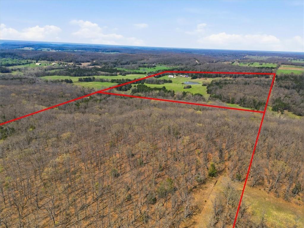 21756 Flippin Road Property Photo 35