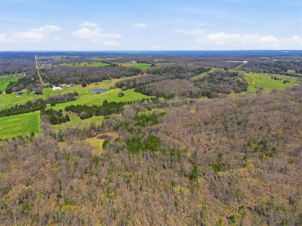 21756 Flippin Road Property Photo 58