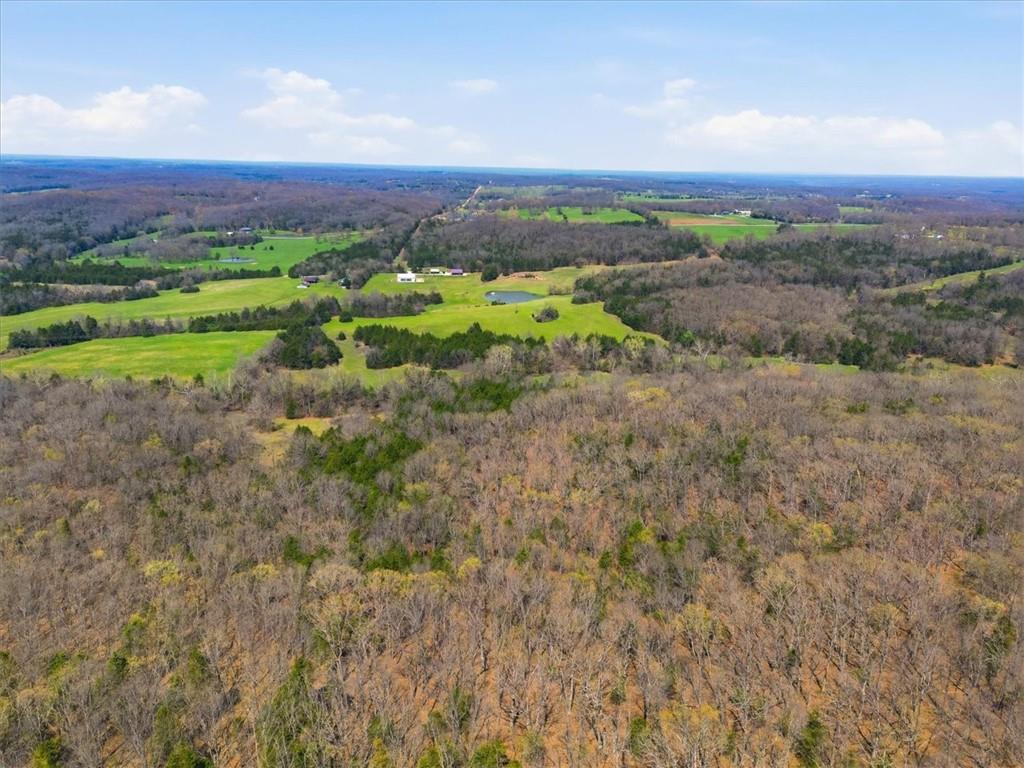 21756 Flippin Road Property Photo 59