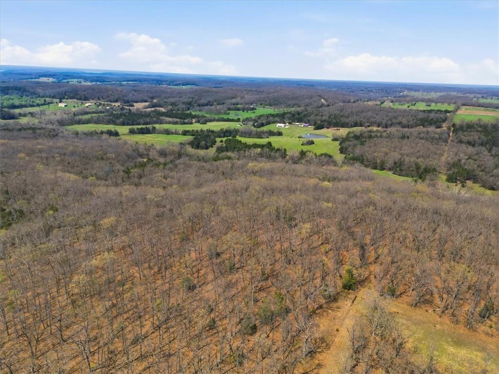 21756 Flippin Road Property Photo 60