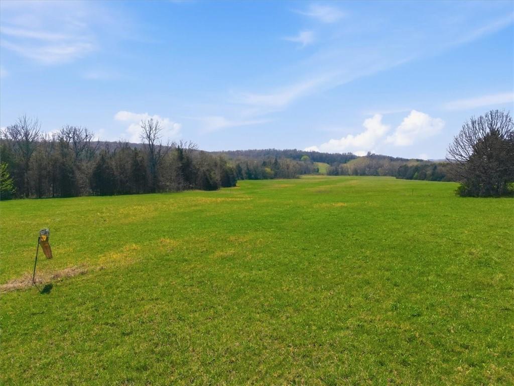 21756 Flippin Road Property Photo 61
