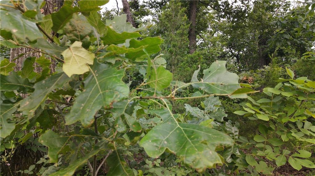942 Se 1125 Private Road Property Photo 15
