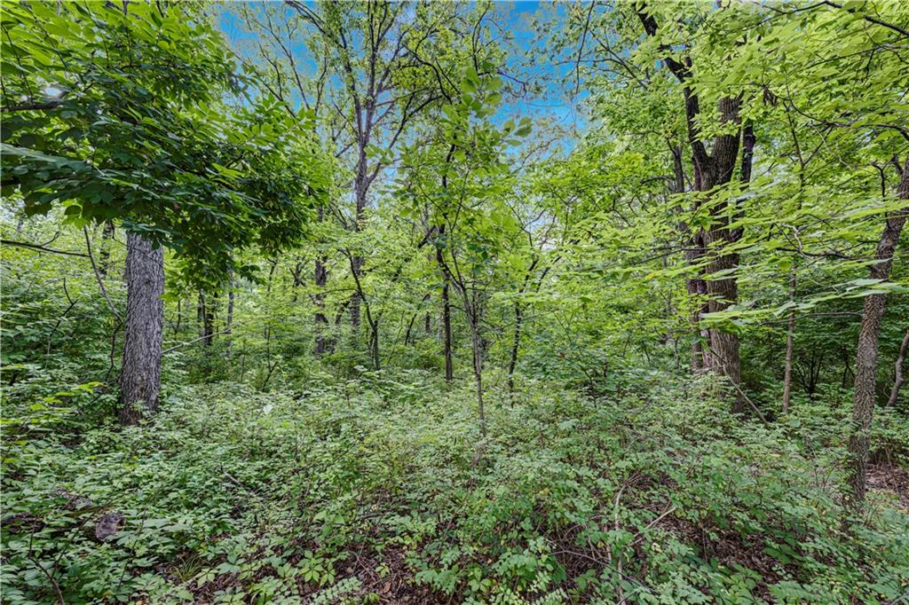 7201 Snow Drive Property Photo 10