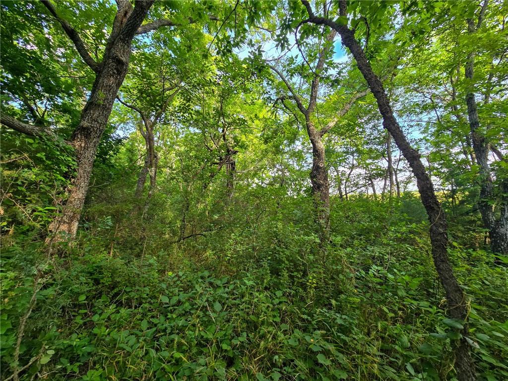K Avenue Property Photo 25