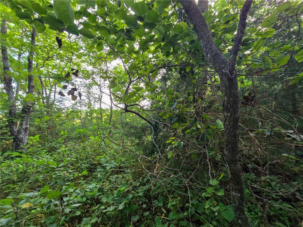 K Avenue Property Photo 26