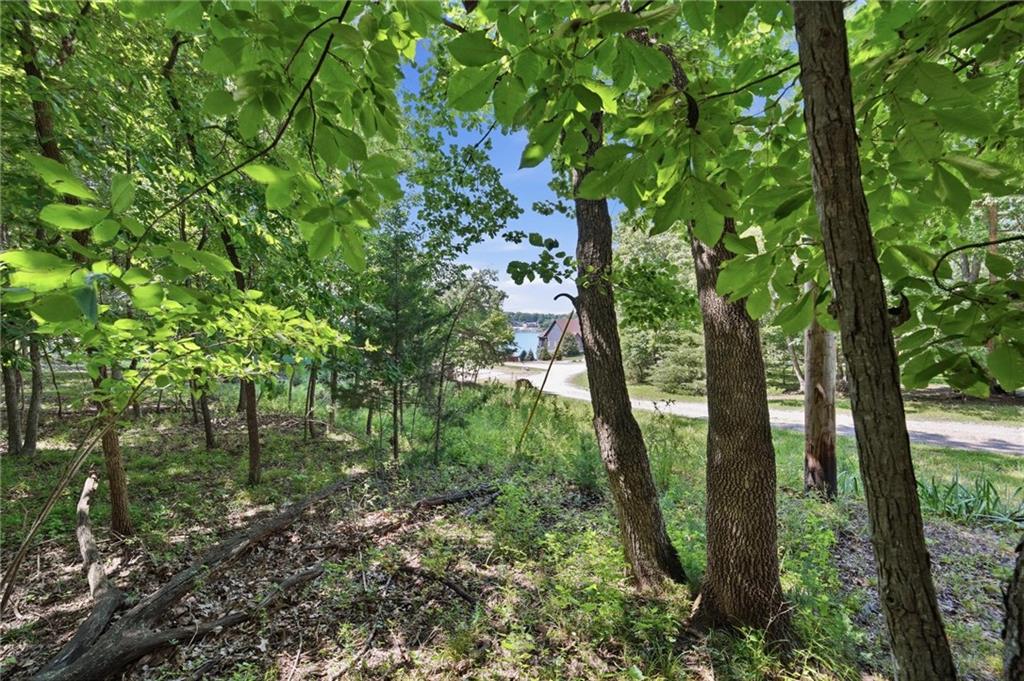 173 Fascination Lane Property Photo 47