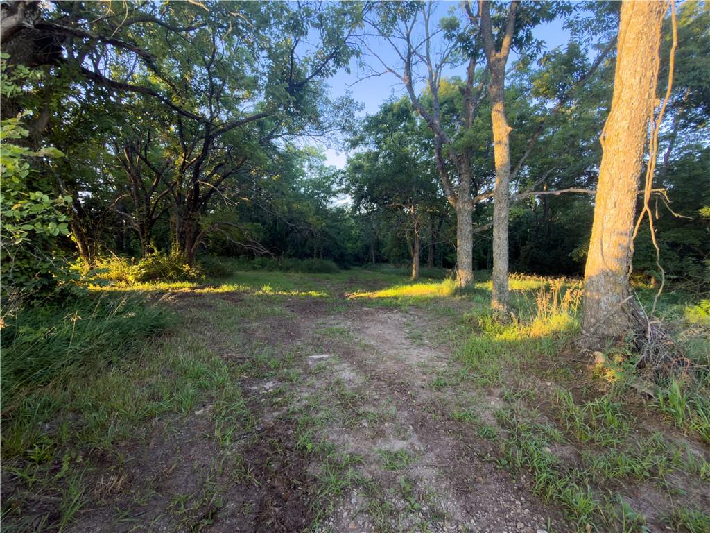 E 192nd Street Property Photo 18