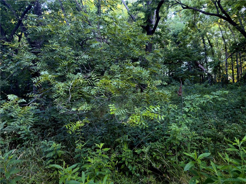 E 192nd Street Property Photo 19