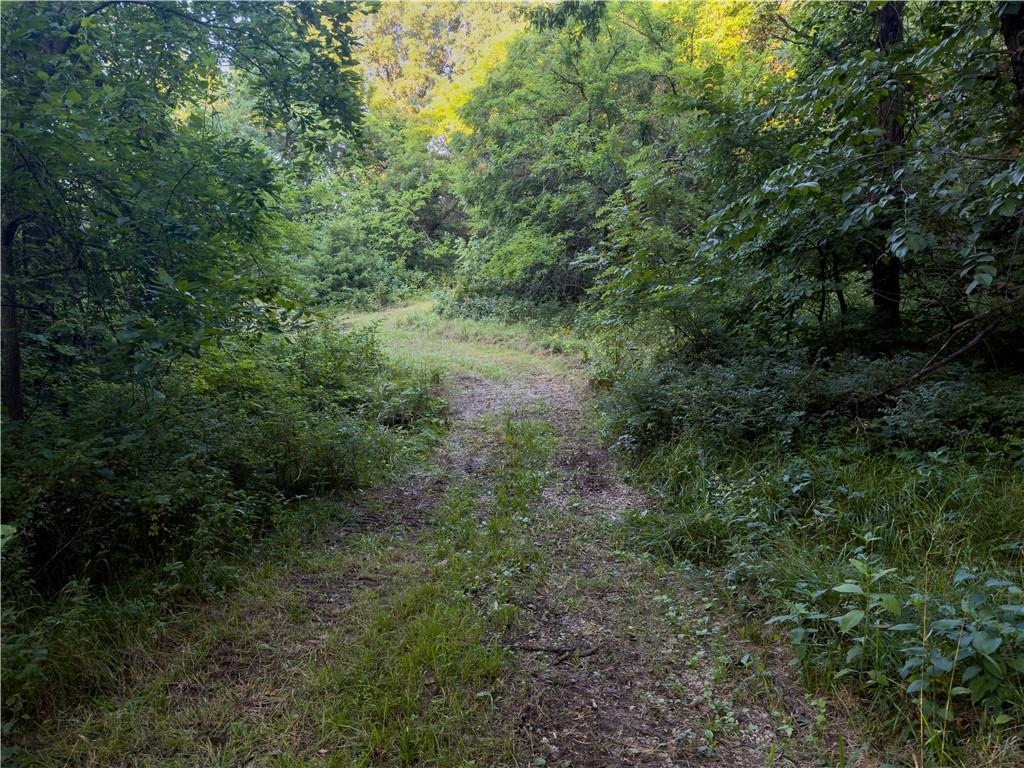 E 192nd Street Property Photo 20