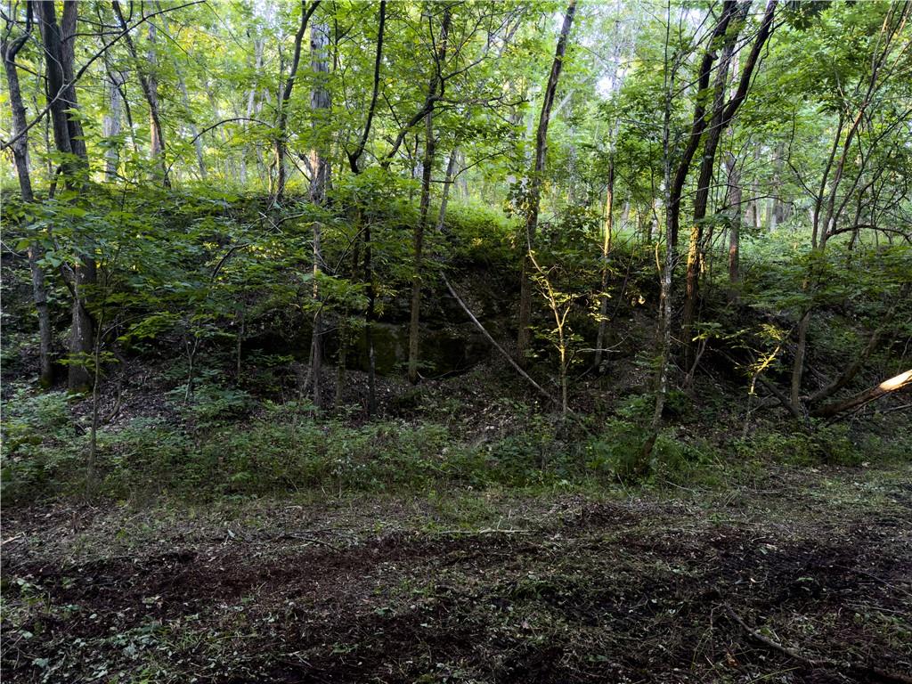 E 192nd Street Property Photo 37