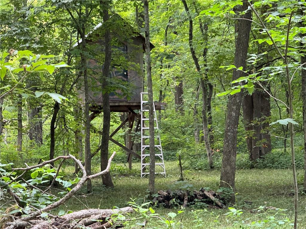 Tbd Cedar Avenue Property Photo 3