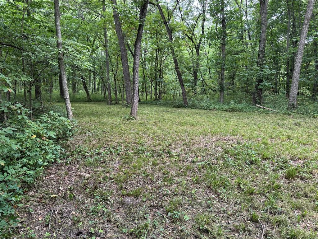 Tbd Cedar Avenue Property Photo 6