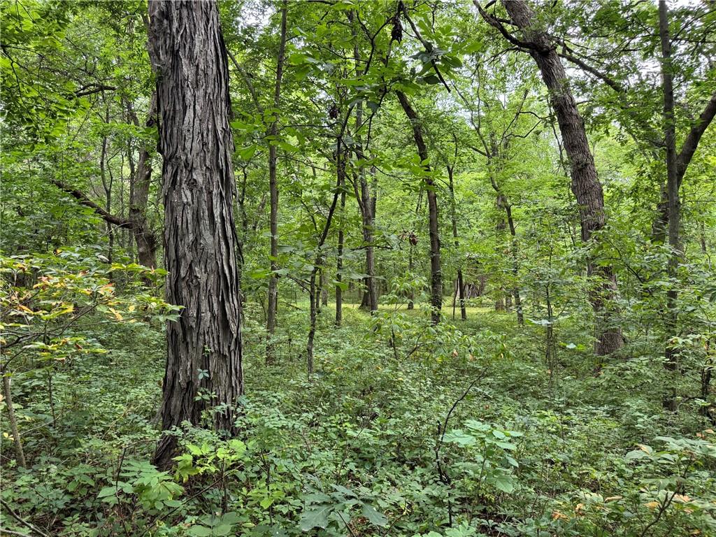 Tbd Cedar Avenue Property Photo 7