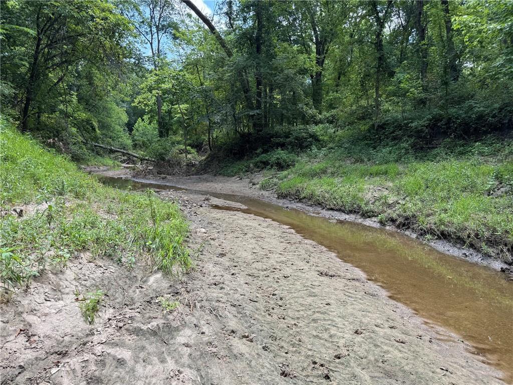 Tbd Cedar Avenue Property Photo 11