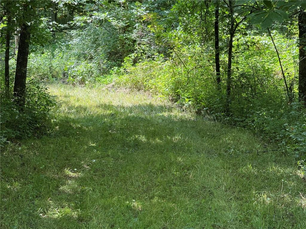 Tbd Cedar Avenue Property Photo 15