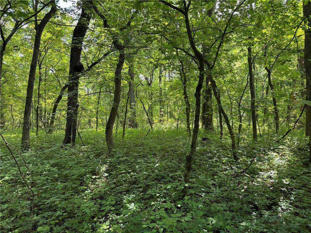 Tbd Cedar Avenue Property Photo 17
