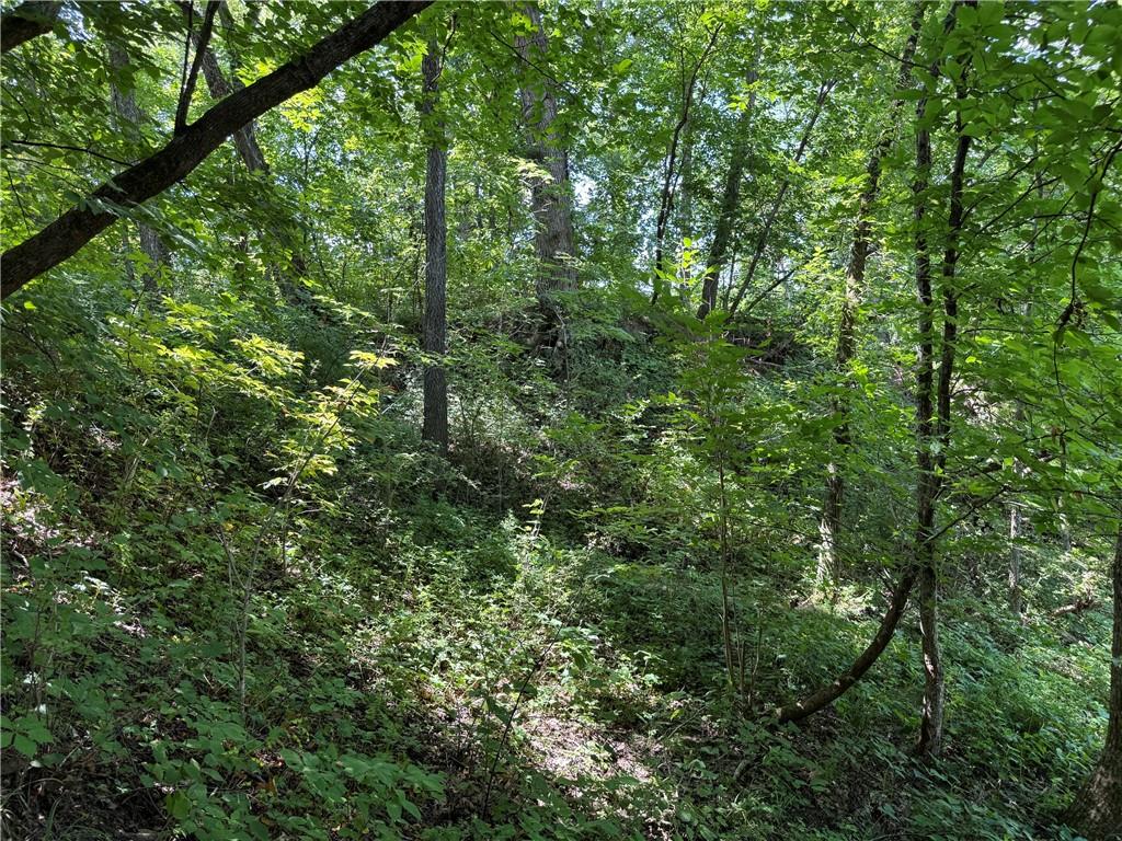 Tbd Cedar Avenue Property Photo 18