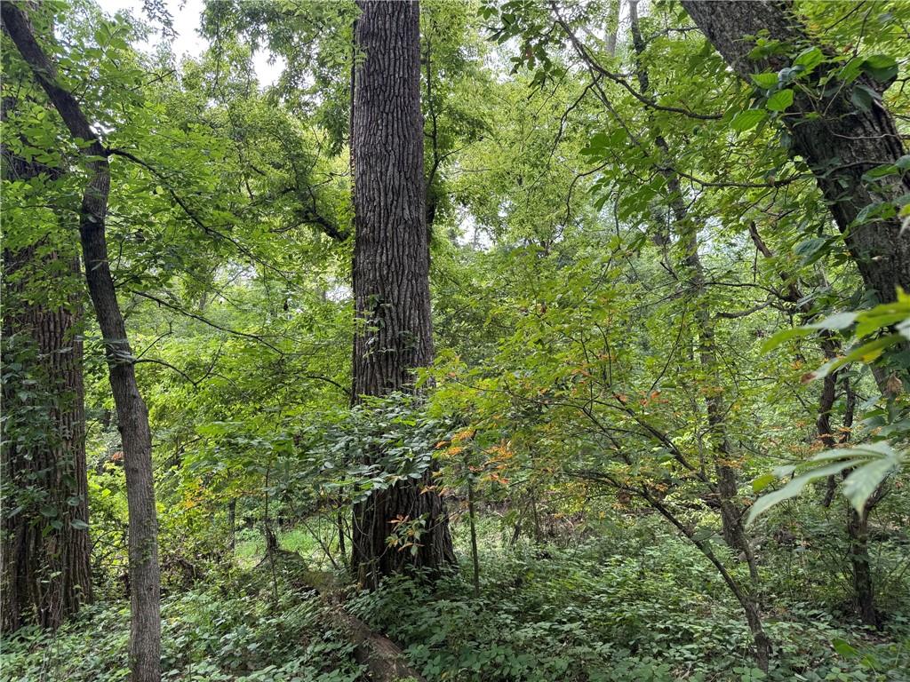 Tbd Cedar Avenue Property Photo 21