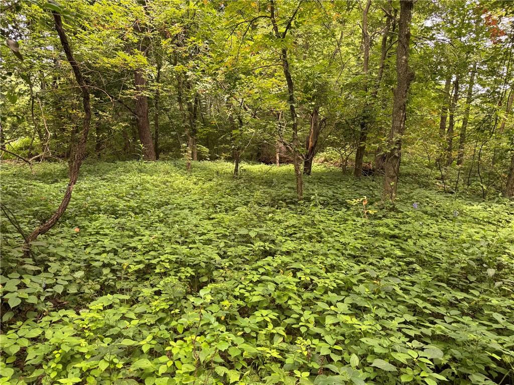 Tbd Cedar Avenue Property Photo 22
