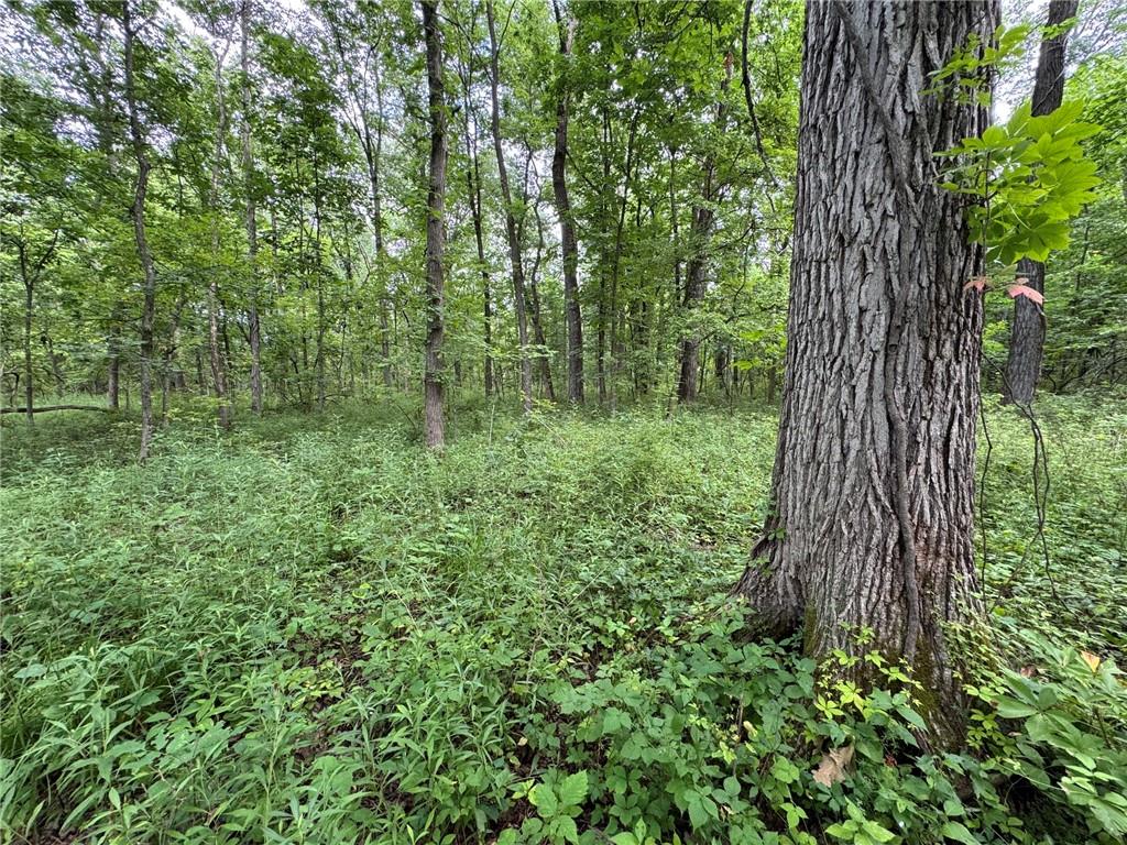 Tbd Cedar Avenue Property Photo 23
