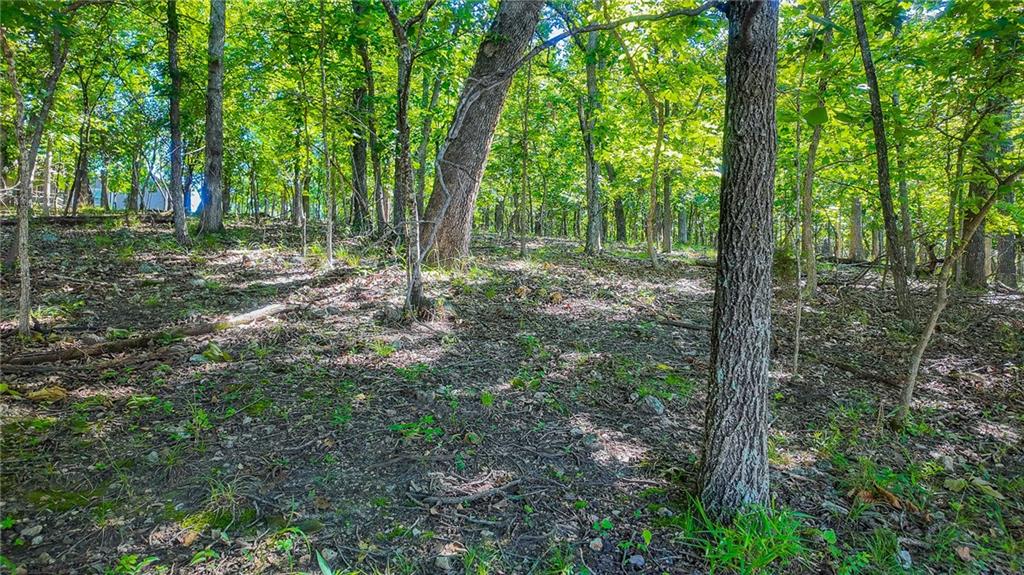 Lot #251 Grand Cove Road Property Photo 4
