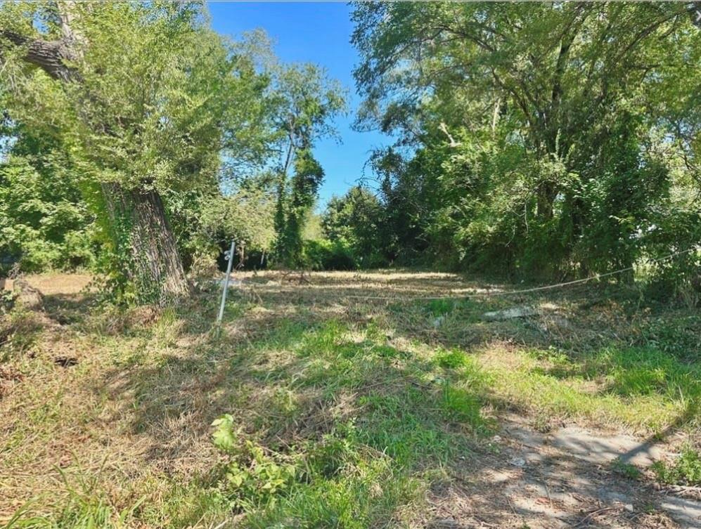 3123 Marsh Avenue Property Photo 1