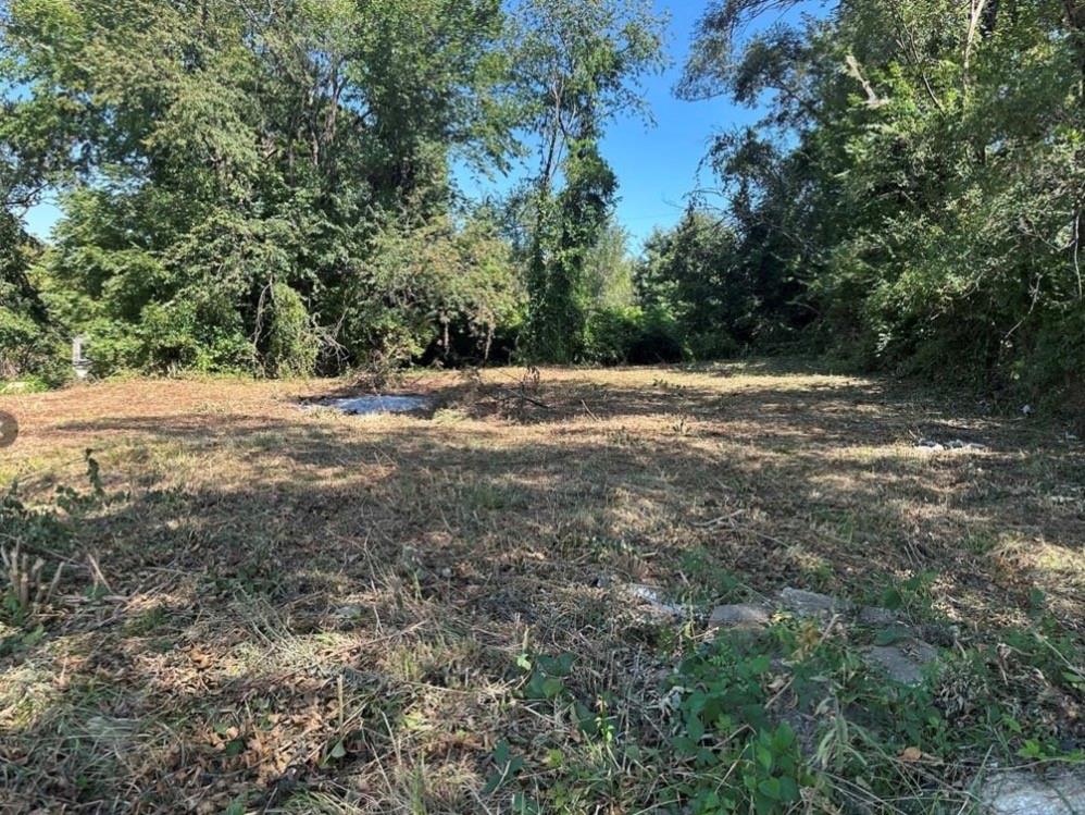 3123 Marsh Avenue Property Photo 2