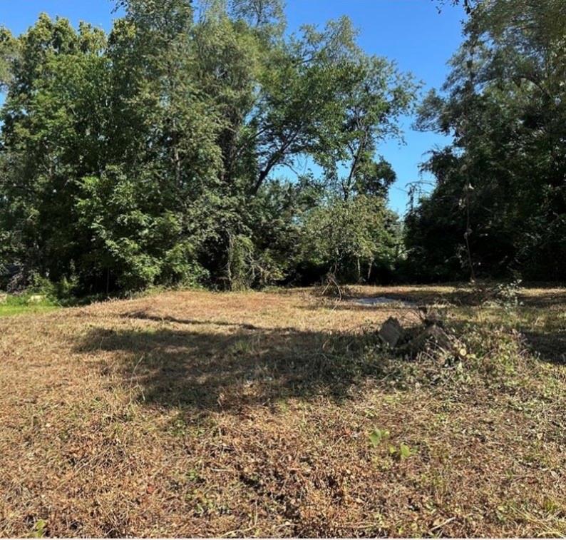 3123 Marsh Avenue Property Photo 3