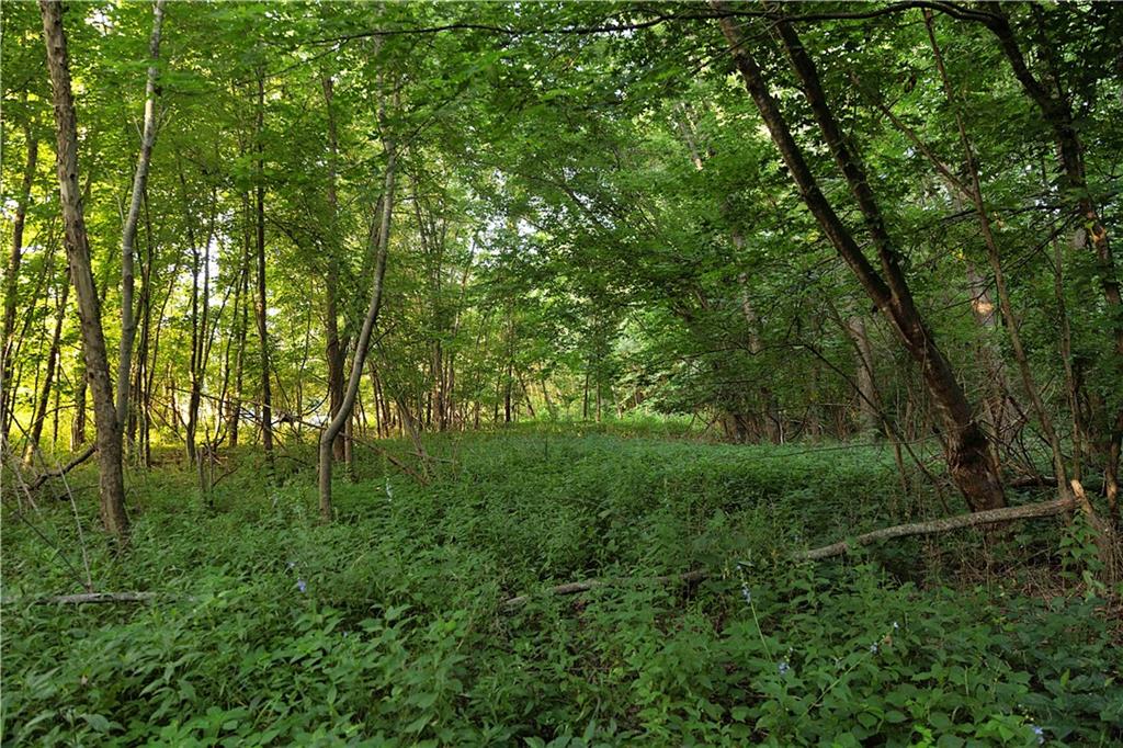 Z Highway Property Photo 55