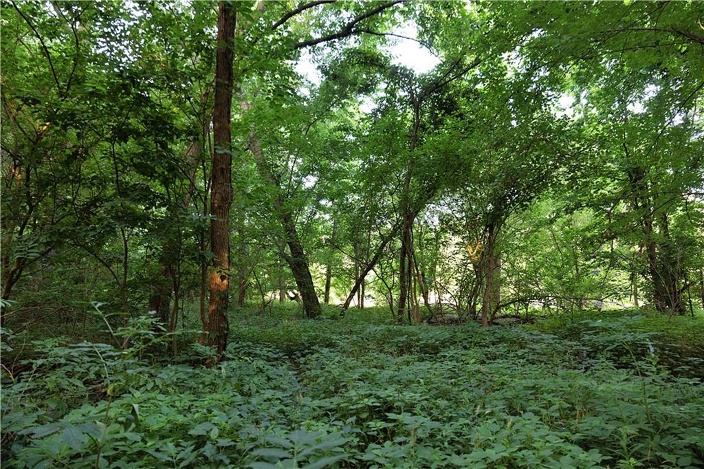 Z Highway Property Photo 59