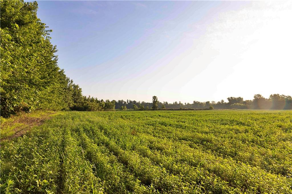 Z Highway Property Photo 61