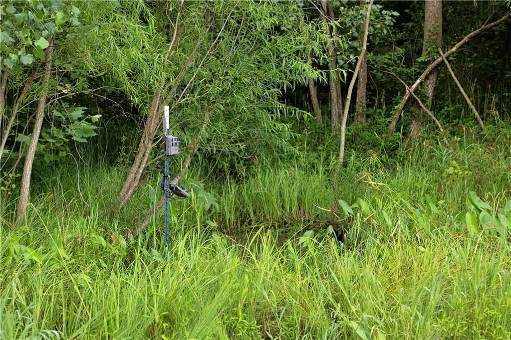Z Highway Property Photo 64