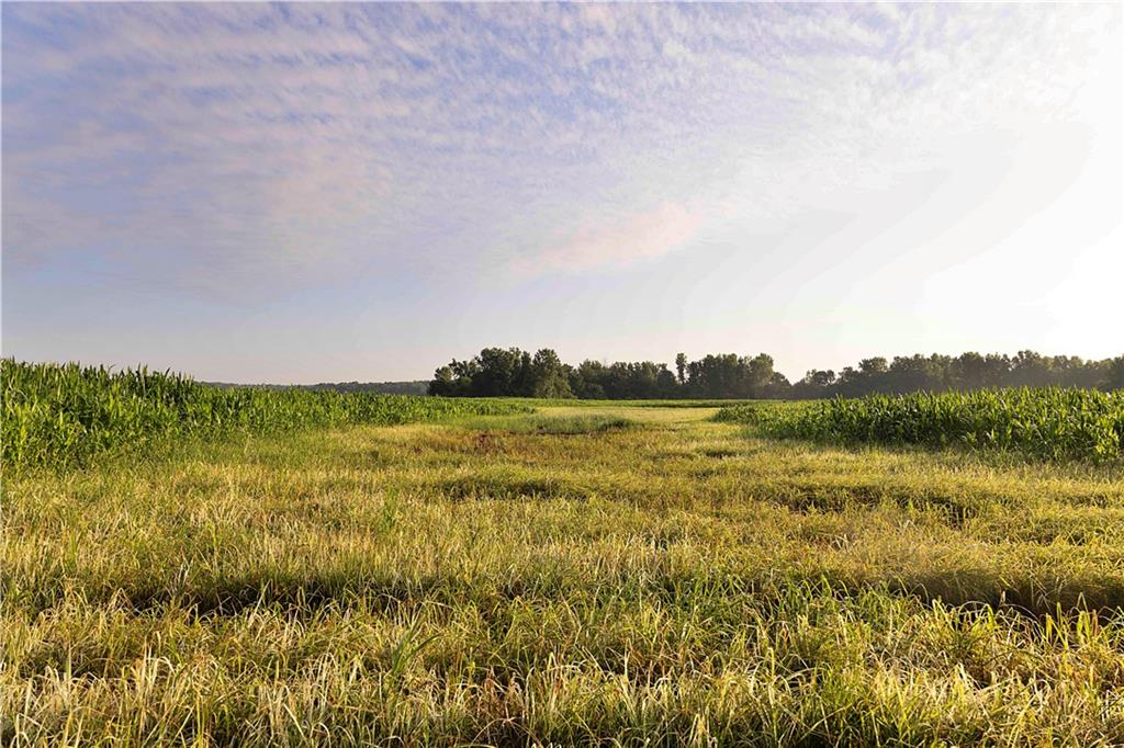 Z Highway Property Photo 65