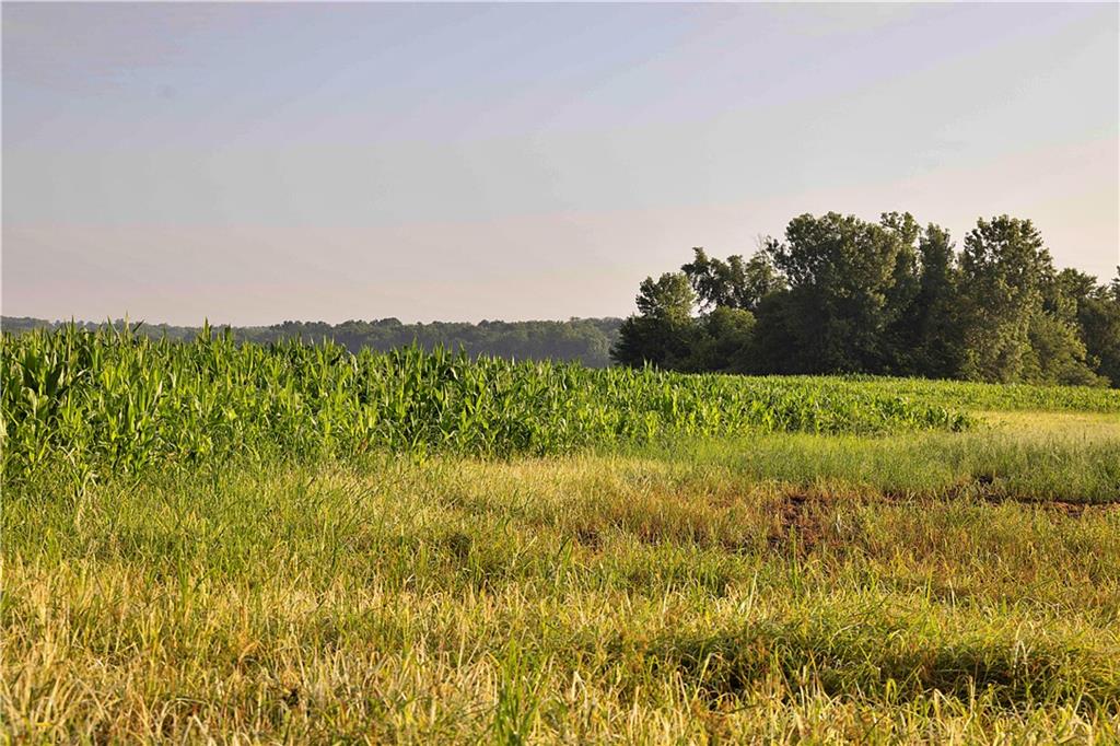Z Highway Property Photo 66