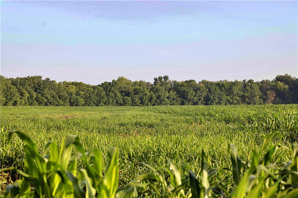 Z Highway Property Photo 68