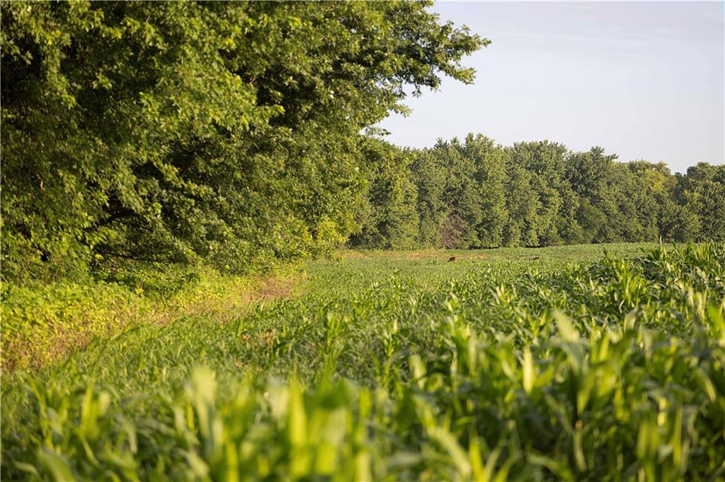 Z Highway Property Photo 72