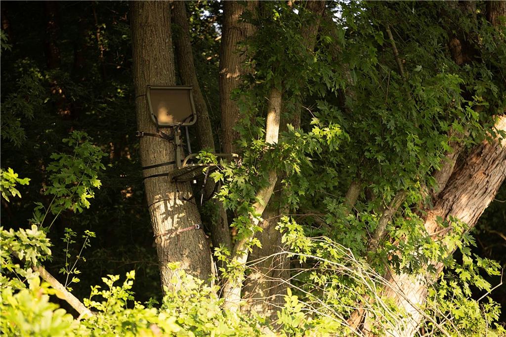 Z Highway Property Photo 73