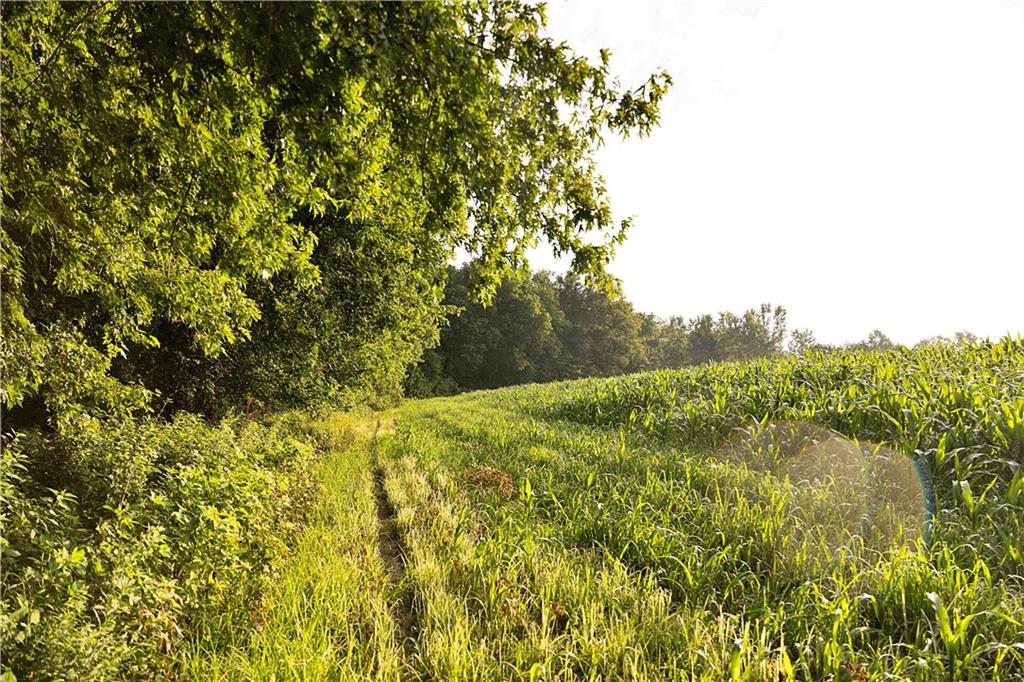 Z Highway Property Photo 76