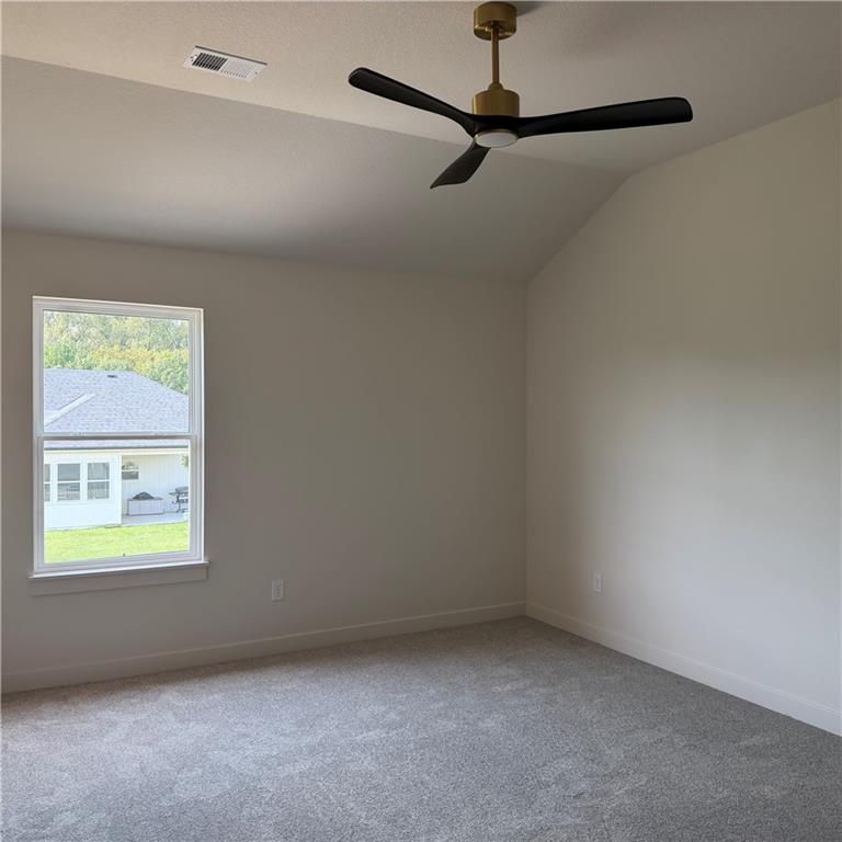 2334 Foxtail Drive Property Photo 18