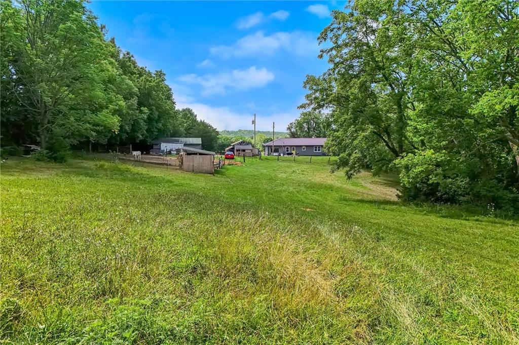 11026 Shach Creek Road Property Photo 38